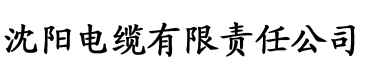 成人版抖音视频电缆厂logo